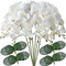 32" Faux Phalaenopsis Orchid Stems – Set of 6 Realistic Artificial Flowers for Vases, Weddings & Home Styling